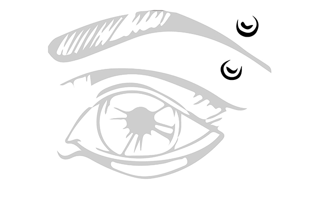 STANDARD EYEBROW
