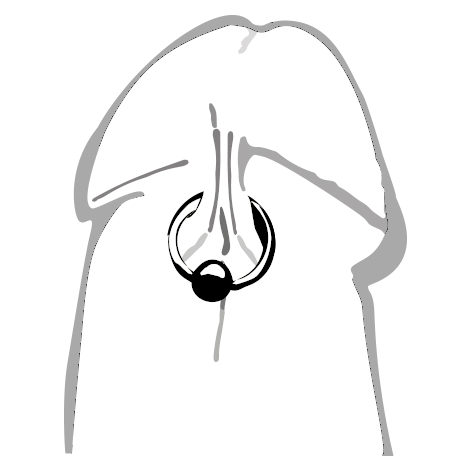 FRENUM PIERCING