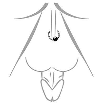 GUISCHE PIERCING