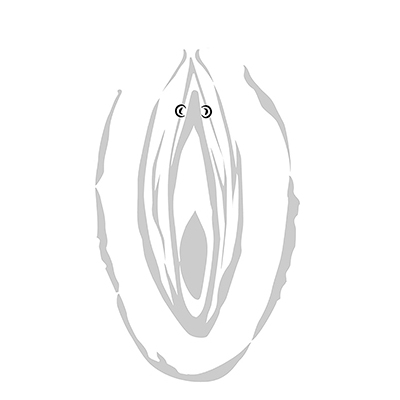 VERTICAL/ HORIZONTAL HOOD PIERCING